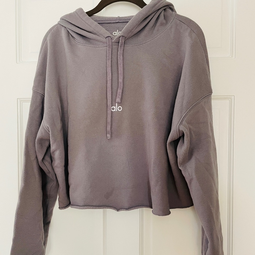 ALO cropped hoodie in gray, size M
